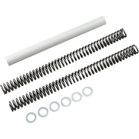 RACE TECH Fork Springs 0.90 kg/mm FRSP S2938090