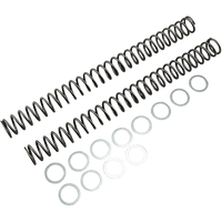 RACE TECH Fork Springs 0.46 kg/mm FRSP 414646