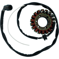 RICK'S MOTORSPORT ELECTRIC Stator Kawasaki 21216