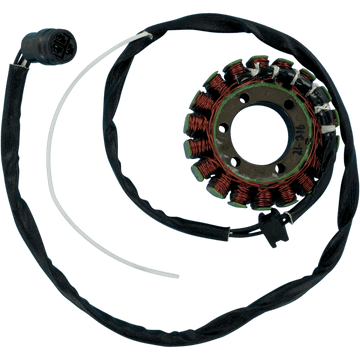 RICK'S MOTORSPORT ELECTRIC Stator Kawasaki 21216