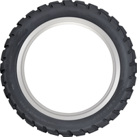 DUNLOP Tire Trailmax Raid Rear 170/60R17 72T 45260406