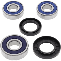 ALL BALLS Wheel Bearing Kit Rear