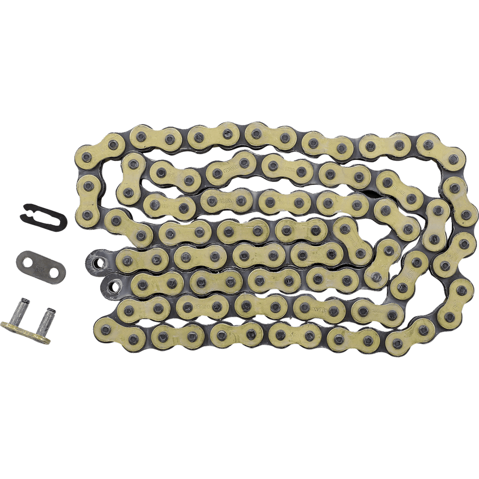 REGINA 520 RX3 Drive Chain 100 Links 135RX3/003