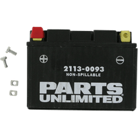 PARTS UNLIMITED AGM Battery YTZ14S