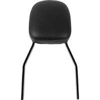 COBRA Sissy Bar Standard VT750C Ace 025115