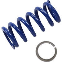 RACE TECH Rear Spring Blue Sport Series Spring Rate 649.58 lbs/in SRSP 5818116