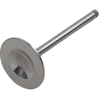 DEL WEST Intake Valve DWKX450FIV09