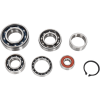 HOT RODS Transmission Bearing Kit TBK0102