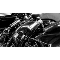 PROGRESSIVE SUSPENSION Shock Reservoir Top Mount