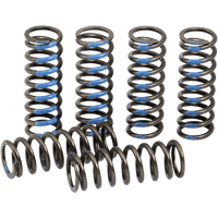 PRO CIRCUIT Clutch Springs YZ 250F CSY19250CS