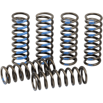 PRO CIRCUIT Clutch Springs YZ 250F CSY19250CS