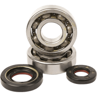 HOT RODS Crankshaft Bearings Yamaha K012