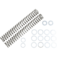 RACE TECH Fork Springs 0.90 kg/mm FRSP S4031090