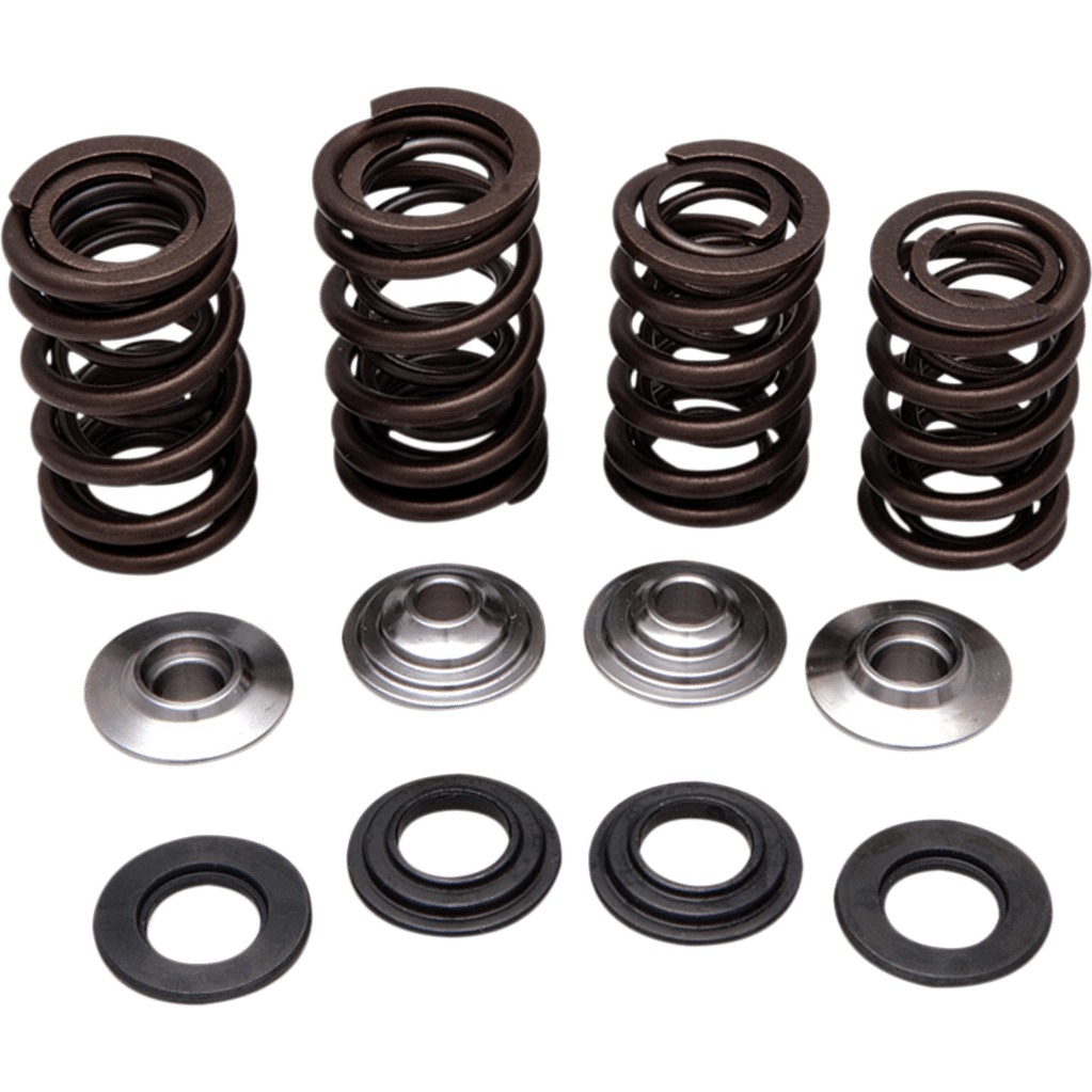 KIBBLEWHITE Valve Spring Kit 3030640