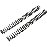 FACTORY CONNECTION Front Fork Springs 0.48 kg/mm LSB048