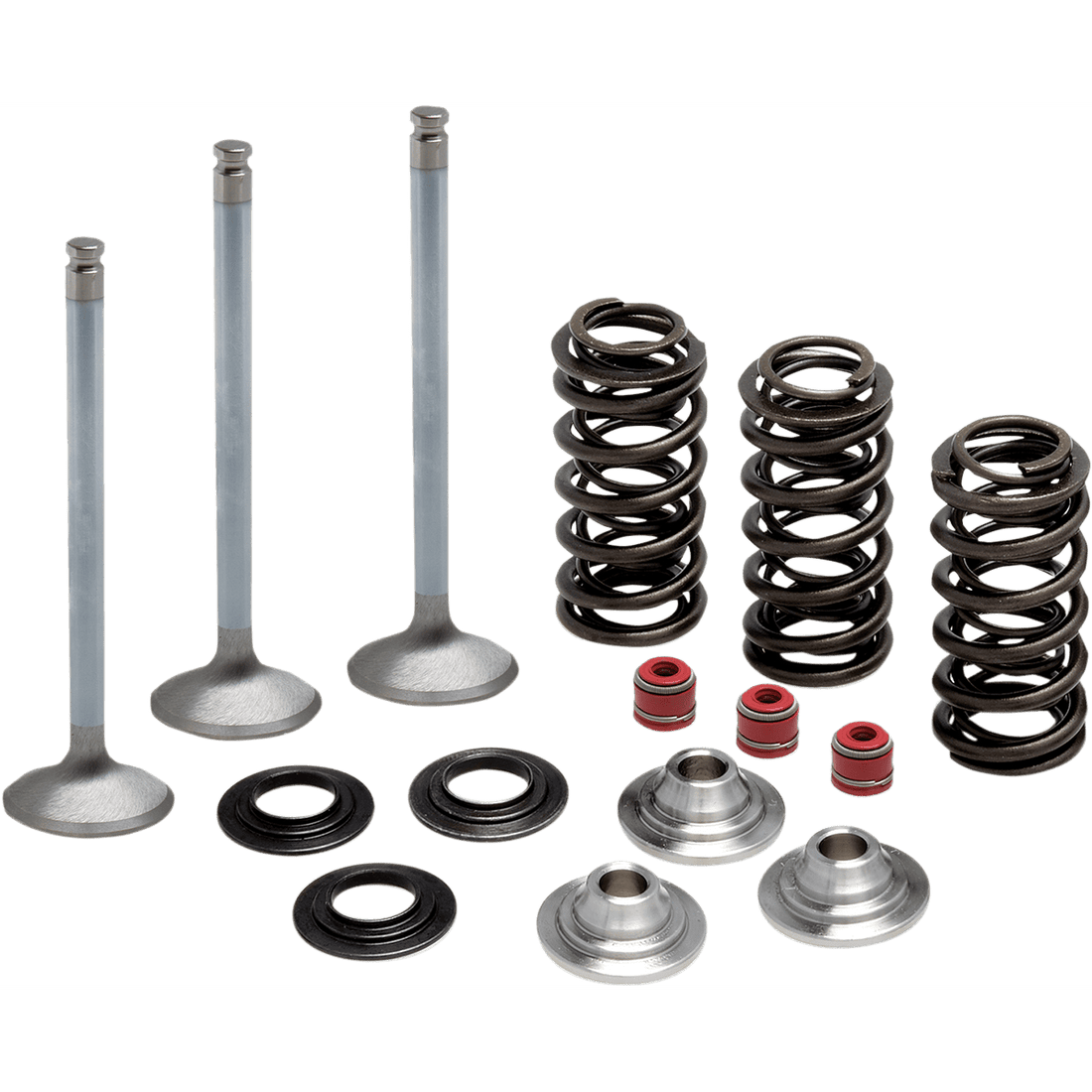 KIBBLEWHITE Valve Spring Kit 8080950