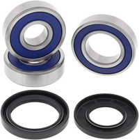 ALL BALLS Wheel Bearing Kit Rear