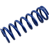 RACE TECH Rear Spring Blue Race Series Spring Rate 300 lbs/in