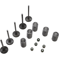 WISECO Valve Kit