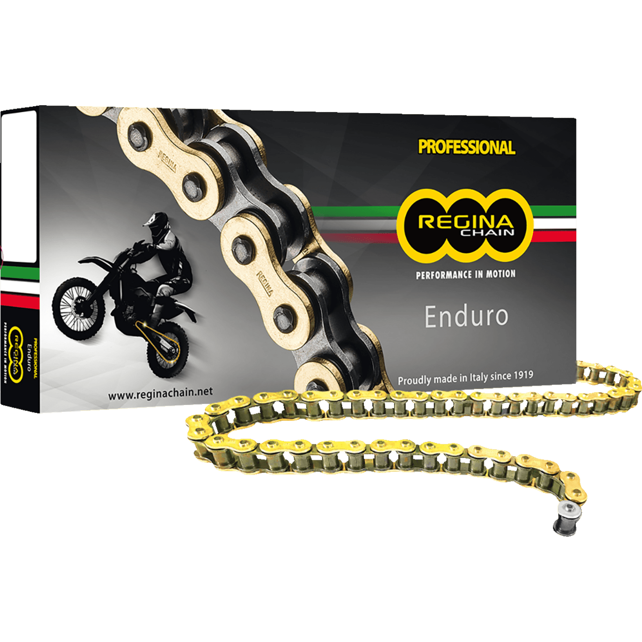 REGINA 520 ZSE Drive Chain 112 Links 135ZSE/1000