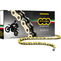 REGINA 520 ZSE Drive Chain 112 Links 135ZSE/1000