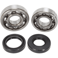 HOT RODS Crankshaft Bearings Yamaha