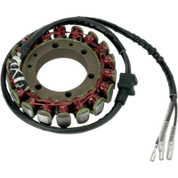 RICK'S MOTORSPORT ELECTRIC Stator Kawasaki 21204