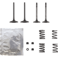 WISECO Valve Kit