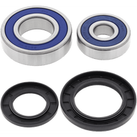 ALL BALLS Wheel Bearing Kit Rear