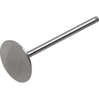 DEL WEST Intake Valve DWKX250FIV09ND