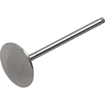 DEL WEST Intake Valve DWKX250FIV09ND