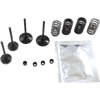 WISECO Valve Kit