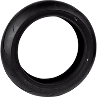 DUNLOP Tire Sportmax Q5S Rear 180/55ZR17 73W 45258206