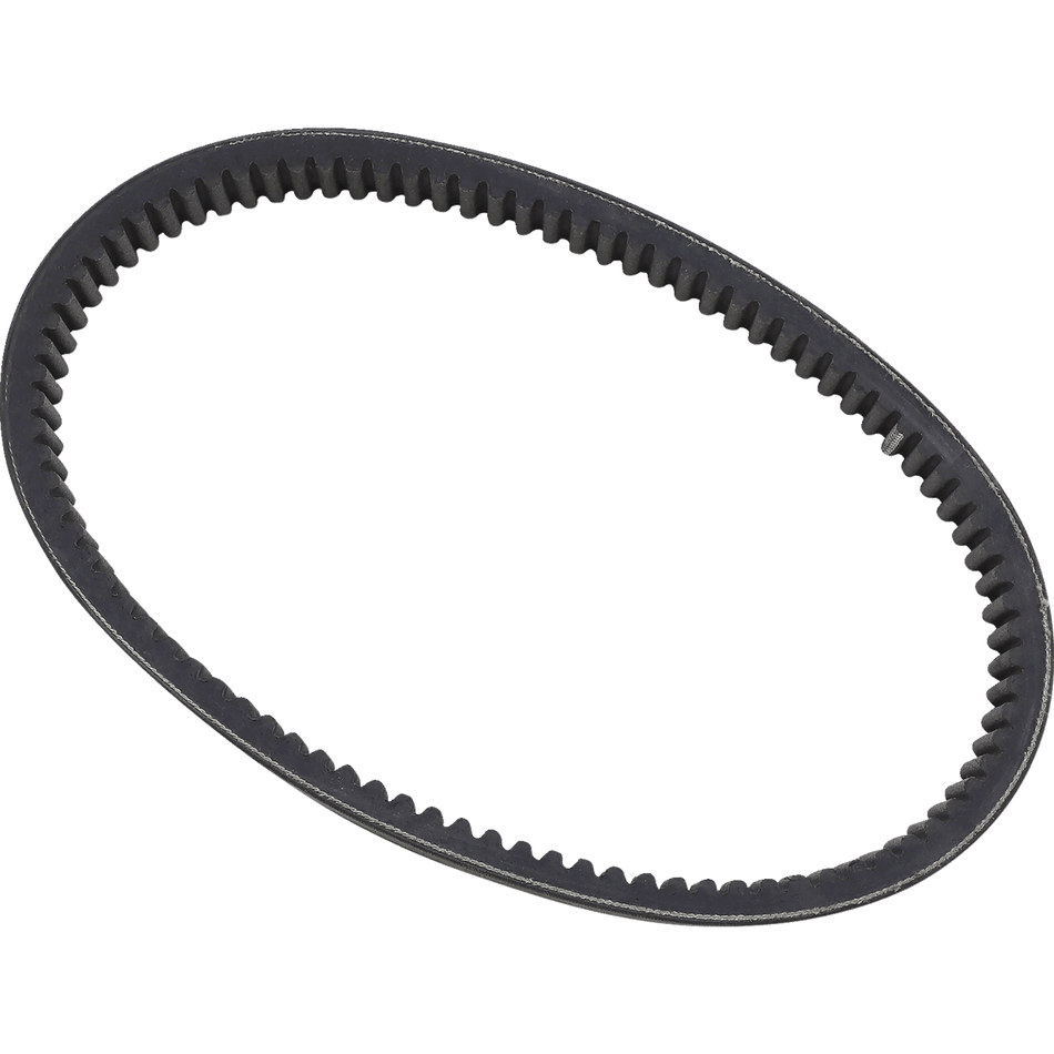 EPI Drive Belt WE262035