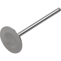 DEL WEST Intake Valve DWRMZ250IV04