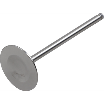 DEL WEST Intake Valve DWRMZ250IV04