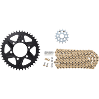 VORTEX Chain Kit Gold CKG4212