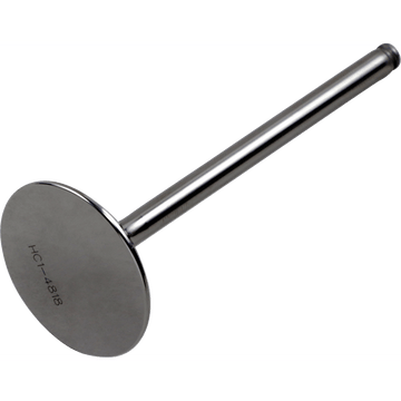 DEL WEST Exhaust Valve DWCRF4501OSEV09