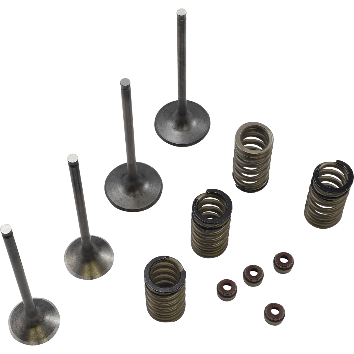 WISECO Valve Kit