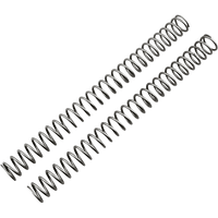 RACE TECH Fork Springs 0.42 kg/mm FRSP 434842