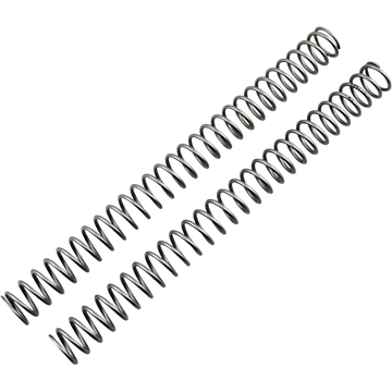 RACE TECH Fork Springs 0.42 kg/mm FRSP 434842