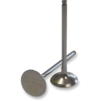 DEL WEST Intake Valve