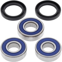 ALL BALLS Wheel Bearing Kit Rear