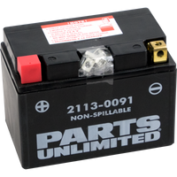 PARTS UNLIMITED AGM Battery YTZ12S