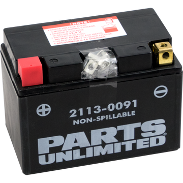 PARTS UNLIMITED AGM Battery YTZ12S