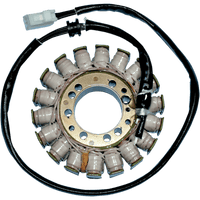 RICK'S MOTORSPORT ELECTRIC Stator Triumph 21014