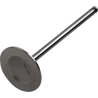 DEL WEST Intake Valve