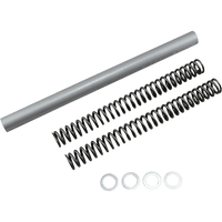 RACE TECH Fork Springs 1.00 kg/mm FRSP S3534100