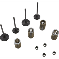 WISECO Valve Kit