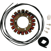 RICK'S MOTORSPORT ELECTRIC Stator Yamaha 21415